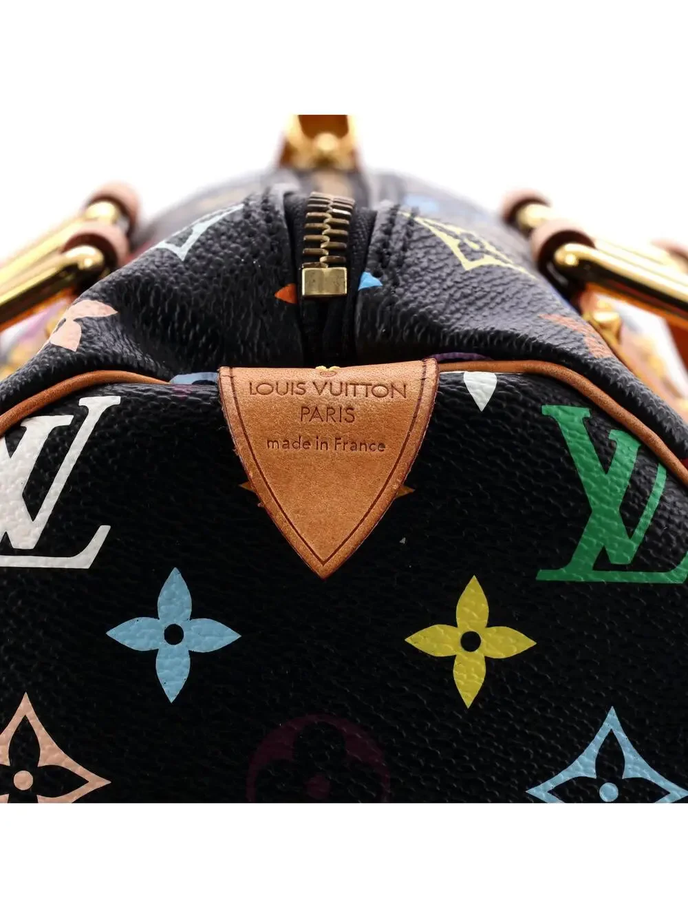 Louis Vuitton Speedy Handbag Multicolor #331424L24B